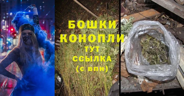 каннабис Новозыбков