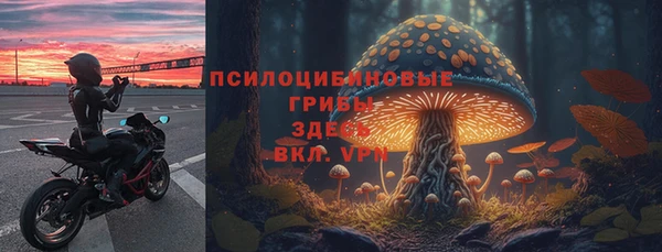 ECSTASY Абинск