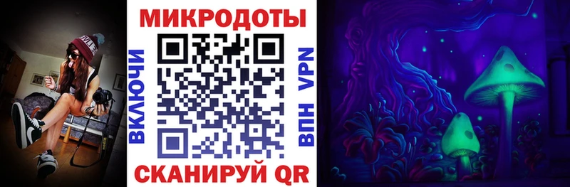 Галлюциногенные грибы мухоморы  Элиста 